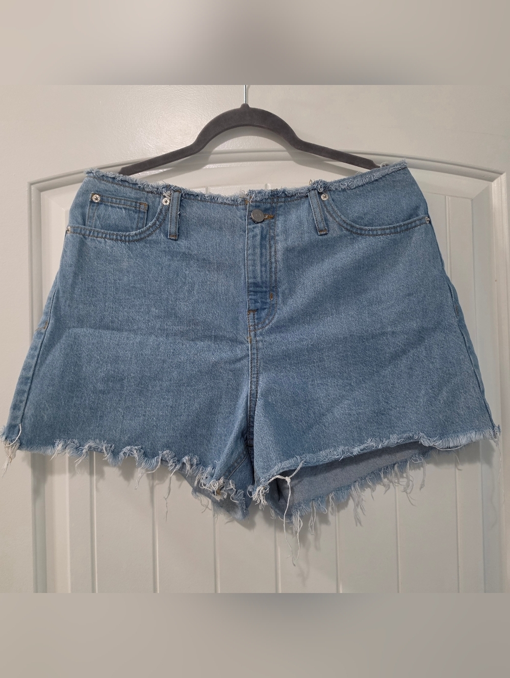 BDG High-Rise Frayed Hem Denim Shorts | Cut-Off Shorts